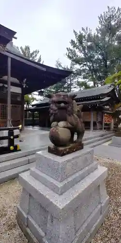 坂井神社の狛犬