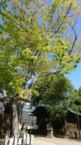 阿邪訶根神社の自然