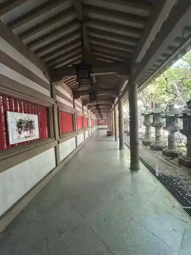 伊豫豆比古命神社(愛媛県)