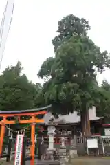 鼬幣稲荷神社の建物その他