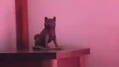 明月院(神奈川県)