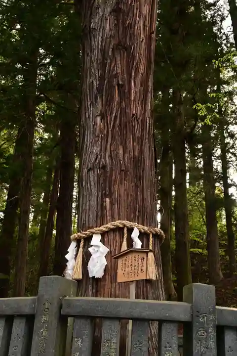 諏訪大社下社春宮(長野県)