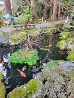 明通寺(福井県)