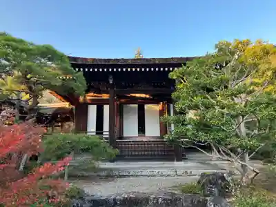 仁和寺(京都府)