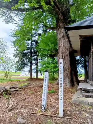 戸隠神社(福島県)