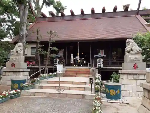 高円寺氷川神社の本殿・本堂