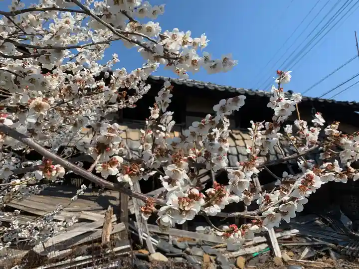 大井俣窪八幡神社の周辺