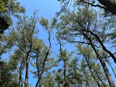 みそぎ御殿(宮崎県)