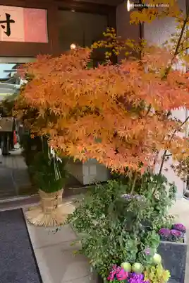 東京大神宮(東京都)