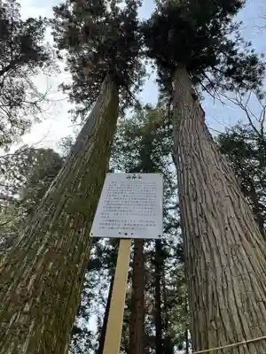 大神神社(栃木県)