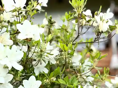 和神社(長野県)