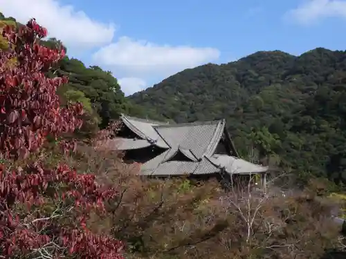 長谷寺(奈良県)
