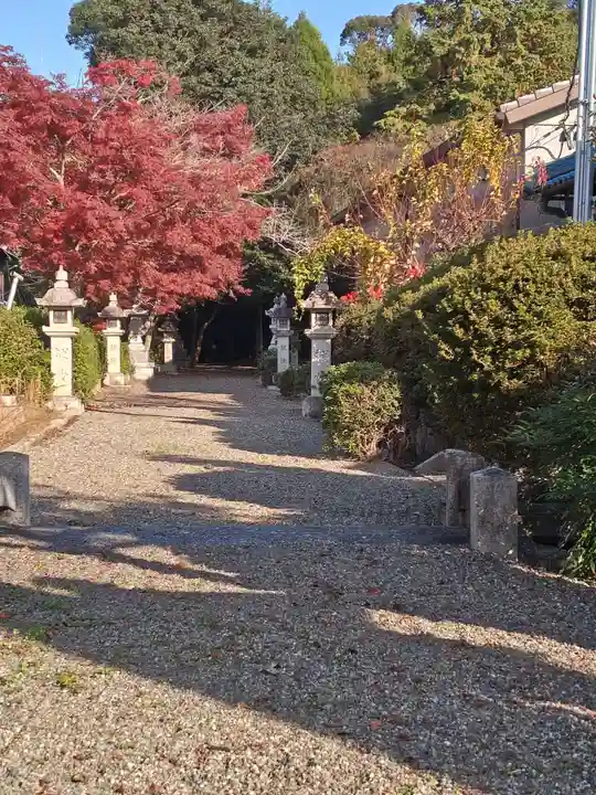 杉之木神社(滋賀県)