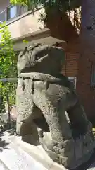 穏田神社の狛犬