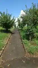 春日神社の建物その他