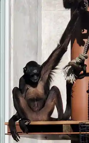 鑁阿寺(栃木県)