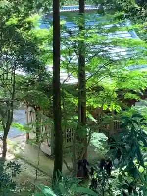 椎尾山薬王院(茨城県)