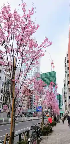金王八幡宮の自然