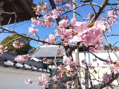 宝渚寺(静岡県)