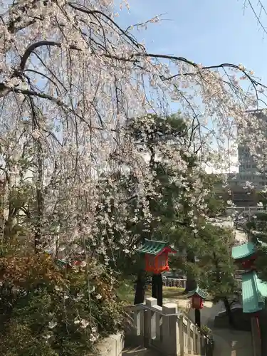 穴八幡宮の自然