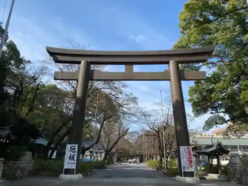 愛知縣護國神社の鳥居