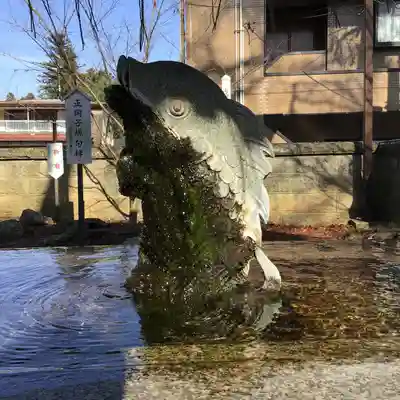 神炊館神社 ⁂奥州須賀川総鎮守⁂の手水舎