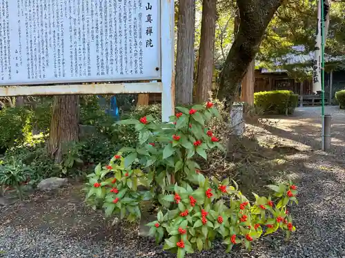 真禅院(岐阜県)