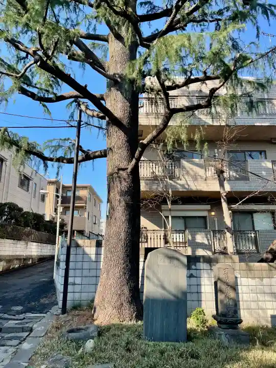 仙寿院の{uncategorized: "未分類", other: "その他", undefined: "問題あり", building: "その他建物", grave: "お墓", sacred_gate: "鳥居", guardian: "狛犬", statue: "像", buddha: "仏像", history: "歴史", nature: "自然", garden: "庭園", animal: "動物", pagoda: "塔", temizu: "手水舎", mountain_gate: "山門・神門", sanctuary: "本殿・本堂", subordinate: "末社・摂社", art: "芸術", scenery: "景色", jizo: "地蔵", ema: "絵馬", goshuin: "御朱印", omikuji: "おみくじ", items: "授与品その他", amulet: "お守り", goshuincho: "御朱印帳", eats: "食事", festival: "お祭り", votive_dance: "神楽", shichigosan: "七五三参", wedding: "結婚式", experience: "体験その他", initially: "初詣", around: "周辺", anti_infection: "感染症対策"}