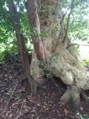 神社(名称不明)の自然