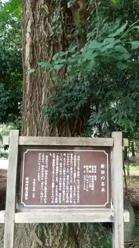 松尾神社の歴史