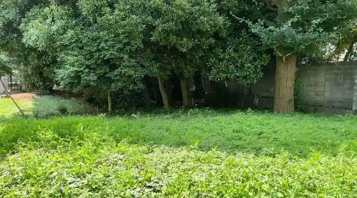 弁天神社(神奈川県)