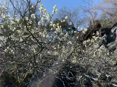 石山寺(滋賀県)