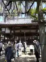 山田日吉神社の本殿・本堂