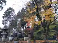 賀茂神社(福井県)