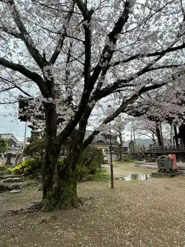 誓福寺(兵庫県)