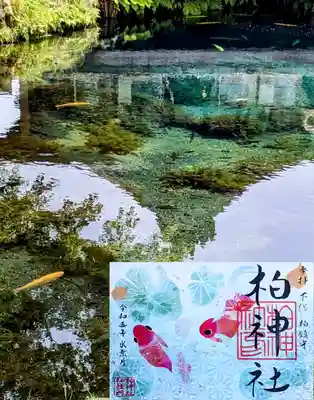 月替り御朱印 6月 『金魚』　　　　　　　　　　
麻の葉模様レース和紙重ねになっています😊