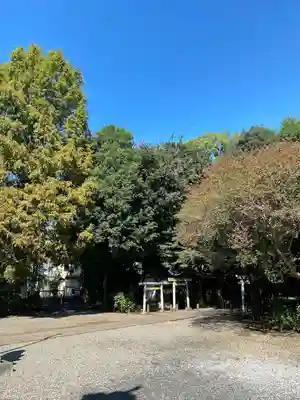 伊豆美神社(東京都)