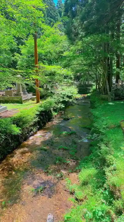 高野山金剛峯寺奥の院(和歌山県)