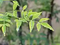 西方山極楽寺(岐阜県)