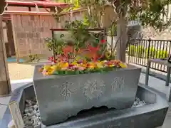 金蛇水神社の手水