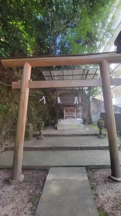 大杉神社(愛媛県)