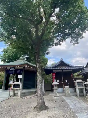 壬生寺(京都府)