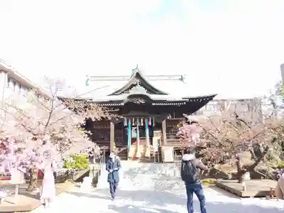 桜神宮の本殿・本堂