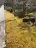 徳善院明王密寺の庭園