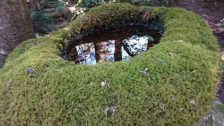 五所駒瀧神社(茨城県)
