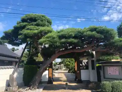法源寺の山門・神門