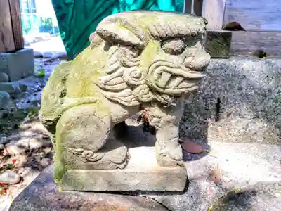 津島社(中野津島社)の狛犬