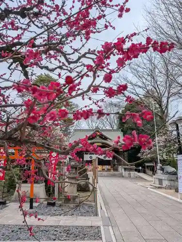 布多天神社(東京都)
