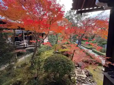 安楽寺(京都府)