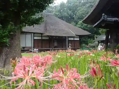 横浜 西方寺の本殿・本堂